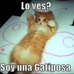 risas 