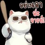 ดาวน์โหลดฟรี