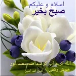 بھائیں جاؤ