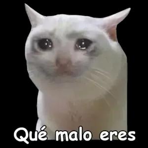 lddkkt