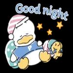Pekkle Duck