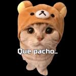 Y EL VIDEO? DONDE ESTA EL VIDEO?