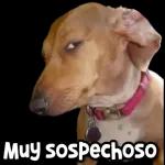 Tamal eso