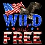 American Flag Independence Day