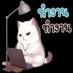 ดาวน์โหลดฟรี