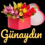 GÜNAYDIN 