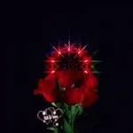 姆巴佩姆巴佩姆巴佩