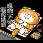 白爛貓45☆打工仔☆