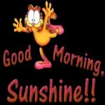 have an awesome day