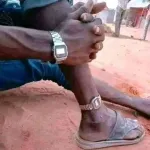 My fellow south Africans