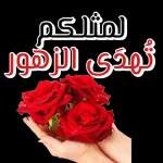 كل دقة بقلبي بتقولي