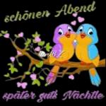 Schlaf gut Drück dich😽😽😽