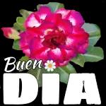 Que el Sel de te acompañe hoy