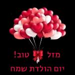 הורדה חינם, עדכונים יומיים, אין צורך בכניסה