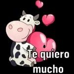 oky