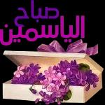 ملصقات 