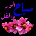 الحمدالله على كل حال