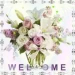 thank you and welcome 2