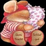 Gute Nacht bis Morgen💖