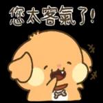 貴賓狗妞妞-好禮貌好親切