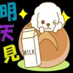 白貴賓犬表情包