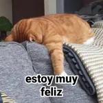 michis de mem...