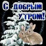 Зимнее утро