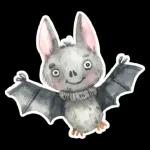 Halloween is the spooky time👻