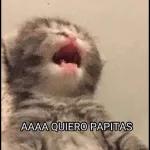 ¡YA LLEGUE! 104 DAY