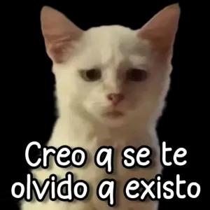 Creo q se te olvido q existo - getsticker.com
