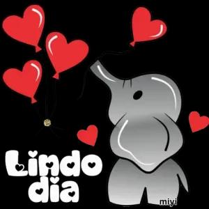 Lindo 약 dia miyi - getsticker.com