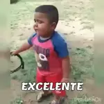 perreando en el lodo