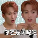 seventeen表情管理2 :: @fStikBot