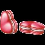 💐 שבת שלום 💐