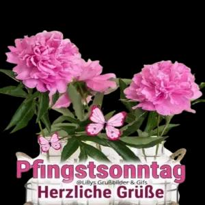 Pfingstsonntag Herziche Grüße - getsticker.com