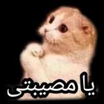 ألف شكرا يا حبيبي