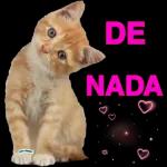 Te voi viendo