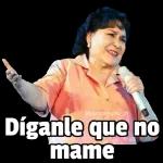 pegamemes 