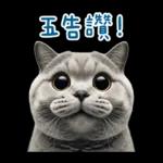 起肖貓貓★台語卡唬爛!