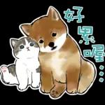 柴柴與貓咪 pack2
