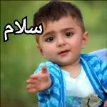 Dafter rozgar واش کیس کیس