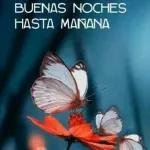 BUENAS NOCHES HASTA MANANA 