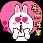 熊大兔兔 ❤︎ 戀愛養成日記