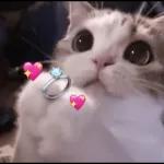 l love u anuel aa❤️‍🩹💫🤞🏻