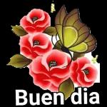 Buenas
noches
Feliz Descanso
