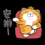 白爛貓58☆名人堂☆