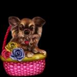 Ich mach's kurz..z?GuteNacht000