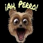 BB @lexa Amo