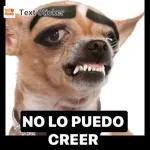 NO LO PUEDO CREER