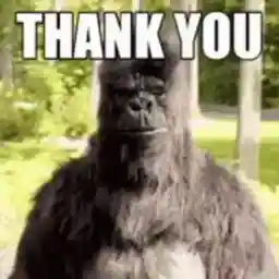 SfFTLo